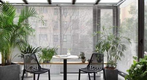 可以用燈光代替太陽養(yǎng)花