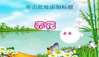 簡要概括養(yǎng)花的樂趣ppt