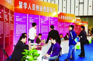 創(chuàng)新創(chuàng)業(yè)的項目類型有哪些,適合創(chuàng)新創(chuàng)業(yè)的項目有哪些項目,創(chuàng)新創(chuàng)業(yè)公益項目有哪些