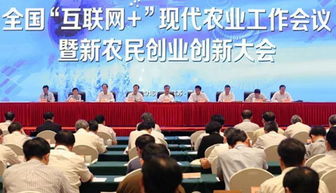 推進,情況,創(chuàng)新,創(chuàng)業(yè)