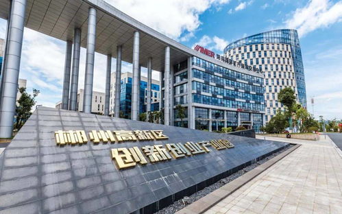 郴州高新區(qū)創(chuàng)新創(chuàng)業(yè)園招聘