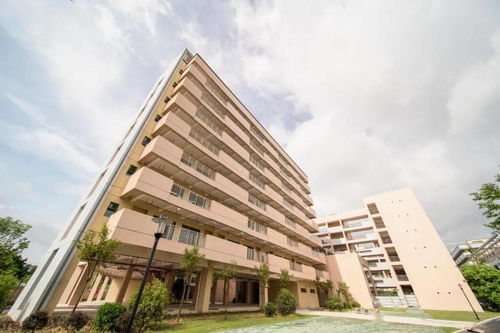 創(chuàng)新創(chuàng)業(yè)實(shí)訓(xùn)報(bào)告總結(jié),創(chuàng)新創(chuàng)業(yè)模擬實(shí)訓(xùn)報(bào)告,創(chuàng)新創(chuàng)業(yè)納稅籌劃實(shí)訓(xùn)報(bào)告