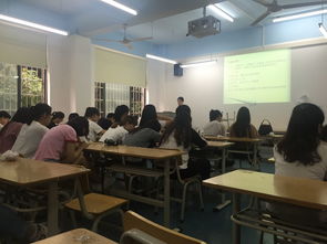 創(chuàng)新創(chuàng)業(yè)實訓養(yǎng)雞