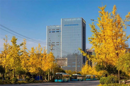 湖南省湘西經(jīng)濟開發(fā)區(qū)創(chuàng)新創(chuàng)業(yè)園