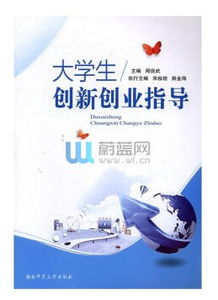 指導(dǎo),創(chuàng)新,創(chuàng)業(yè),大學(xué)生