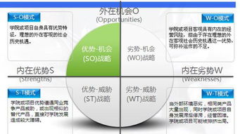 創(chuàng)新創(chuàng)業(yè)項(xiàng)目swot報(bào)告