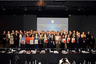 國家級大學(xué)生創(chuàng)新創(chuàng)業(yè)訓(xùn)練平臺,國家級創(chuàng)新創(chuàng)業(yè)訓(xùn)練計劃平臺,國家級大學(xué)生創(chuàng)新創(chuàng)業(yè)