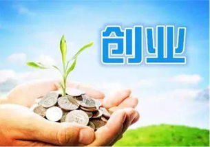 意愿,創(chuàng)新意識,調查,創(chuàng)業(yè)