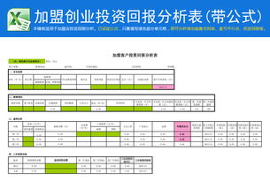 創(chuàng)新創(chuàng)業(yè)資金回報表格