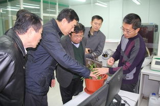 遼寧,醫(yī)學院,獎學金,創(chuàng)新