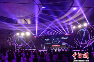 中國婦女創(chuàng)業(yè)創(chuàng)新大賽孫楠