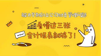 創(chuàng)新創(chuàng)業(yè)財(cái)務(wù)管理怎么寫(xiě),創(chuàng)新創(chuàng)業(yè)財(cái)務(wù)管理論文,大學(xué)生創(chuàng)新創(chuàng)業(yè)財(cái)務(wù)管理論文