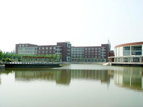 大賽,創(chuàng)新,創(chuàng)業(yè),揚(yáng)州大學(xué)