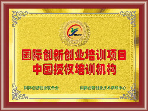 大學(xué)生創(chuàng)新創(chuàng)業(yè)證書,創(chuàng)新創(chuàng)業(yè)導(dǎo)師證書,syb創(chuàng)新創(chuàng)業(yè)證書