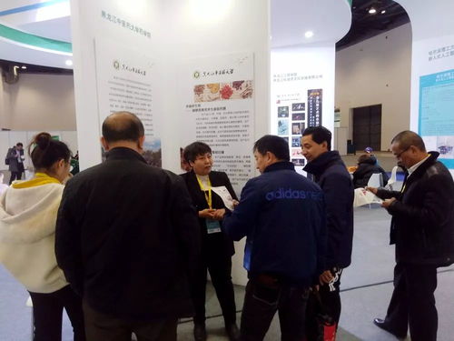 國際創(chuàng)新創(chuàng)業(yè)的最新研究成果包括,創(chuàng)新創(chuàng)業(yè)研究成果怎么寫,大學生創(chuàng)新創(chuàng)業(yè)研究成果