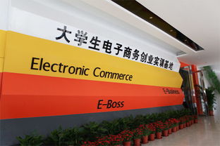 大學(xué)生電子商務(wù)創(chuàng)新創(chuàng)業(yè)背景