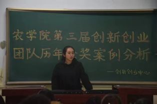 創(chuàng)新創(chuàng)業(yè)金獎案例分析咋寫