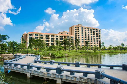 廣東海洋大學(xué)創(chuàng)新創(chuàng)業(yè)分統(tǒng)計,廣東海洋大學(xué)創(chuàng)新創(chuàng)業(yè)實踐學(xué)分,廣東海洋大學(xué)創(chuàng)新創(chuàng)業(yè)學(xué)分