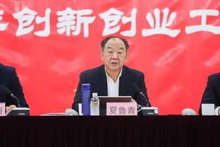 大會(huì)上,創(chuàng)新,講話(huà)稿,創(chuàng)業(yè)