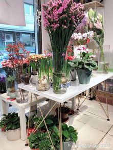 花店創(chuàng)新創(chuàng)業(yè)項目計劃書,花店創(chuàng)新創(chuàng)業(yè)項目計劃書PPT,花店創(chuàng)新創(chuàng)業(yè)項目計劃書怎么寫