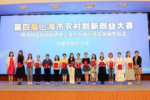 上海市級大學(xué)生創(chuàng)新創(chuàng)業(yè)項(xiàng)目,重慶市市級創(chuàng)新創(chuàng)業(yè)項(xiàng)目,創(chuàng)新創(chuàng)業(yè)項(xiàng)目計(jì)劃書