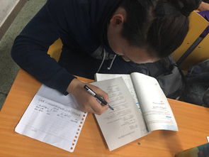 創(chuàng)新,調(diào)查,創(chuàng)業(yè),大學(xué)生