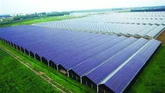 光伏,生態(tài),創(chuàng)新,創(chuàng)業(yè)