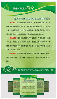 農(nóng)業(yè)創(chuàng)新創(chuàng)業(yè)目錄模板