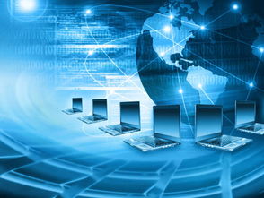 計算機專業(yè)的創(chuàng)新創(chuàng)業(yè)