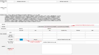 創(chuàng)業(yè)項目,填寫,意見,創(chuàng)新