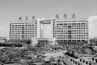 少海人才創(chuàng)新創(chuàng)業(yè)園,國際人才創(chuàng)新創(chuàng)業(yè)園,少海人才創(chuàng)新創(chuàng)業(yè)園項目