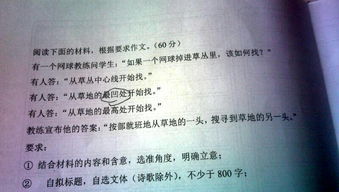 創(chuàng)新創(chuàng)業(yè)精神可嘉作文事例