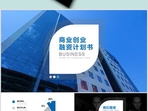 大學生創(chuàng)新創(chuàng)業(yè)融資計劃書模板范文