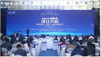 成都天府創(chuàng)新創(chuàng)業(yè)服務平臺