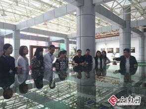 管理學院,實訓,創(chuàng)新,創(chuàng)業(yè)