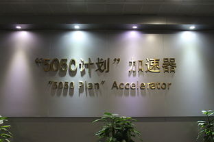 大學生創(chuàng)業(yè)創(chuàng)新調查記錄