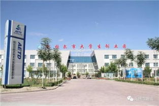 內蒙古創(chuàng)新創(chuàng)業(yè)學院,內蒙古創(chuàng)新創(chuàng)業(yè)大賽獲獎作品,內蒙古大學生創(chuàng)新創(chuàng)業(yè)