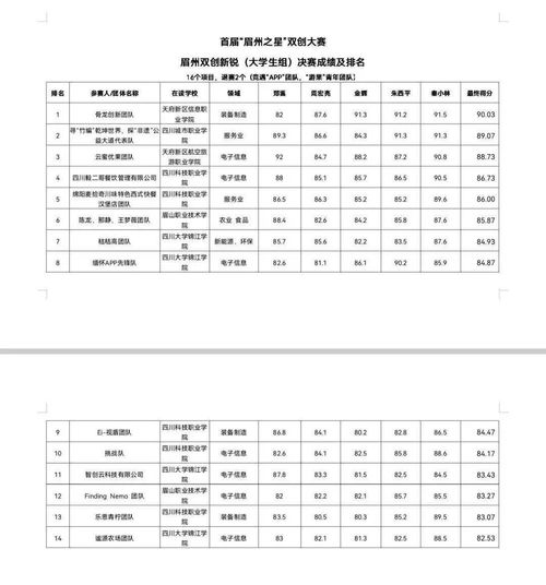 創(chuàng)新創(chuàng)業(yè)大賽專家打分表