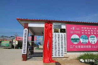 農(nóng)業(yè)大學(xué),河南,創(chuàng)新,創(chuàng)業(yè)