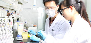 離崗,人不,符合,創(chuàng)新