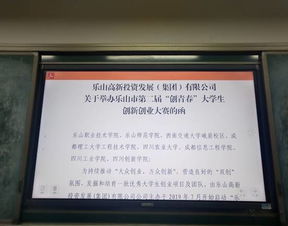 計(jì)劃書,創(chuàng)業(yè)項(xiàng)目,寫作,創(chuàng)新