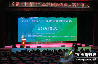 大賽,創(chuàng)新,創(chuàng)業(yè),甘青寧