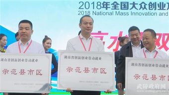 湖南省,帶動,示范,就業(yè)