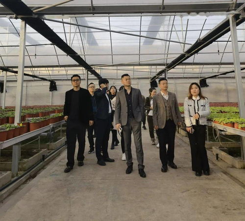 武漢創(chuàng)新創(chuàng)業(yè)學(xué)院,武漢創(chuàng)新創(chuàng)業(yè)政策,中國(guó)地質(zhì)大學(xué)武漢創(chuàng)新創(chuàng)業(yè)