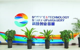 構(gòu)筑創(chuàng)業(yè)創(chuàng)新大環(huán)境的意義