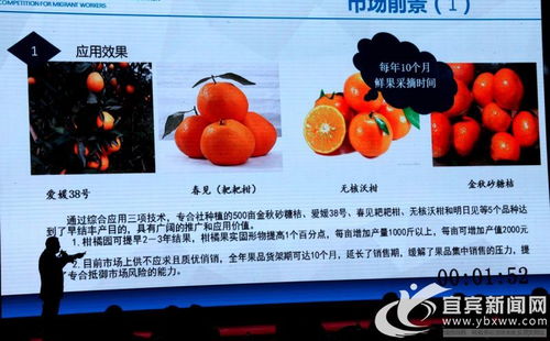 創(chuàng)新創(chuàng)業(yè)登錄不上