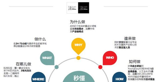 創(chuàng)新創(chuàng)業(yè)的案例和分析,創(chuàng)新創(chuàng)業(yè)的典型案例及分析,創(chuàng)新創(chuàng)業(yè)成功案例及分析