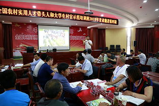 孵化,主體,創(chuàng)新,經(jīng)營