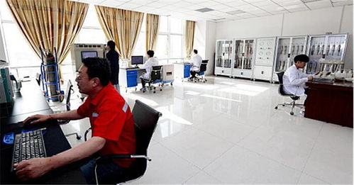 東營,創(chuàng)新,創(chuàng)業(yè),平臺