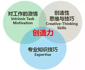 對創(chuàng)業(yè)創(chuàng)新的認識或見解